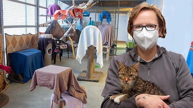 Sandra Schunk, die Leiterin des Lichtenfelser Tierheims, weiß, wie schwierig es ist, in Zeiten der Corona-Pandemie den vollen Betrieb in der Lichtenfelser Auffangstation für herrenlose Tiere aufrechtzuhalten. Nicht nur das Katzenaußenhaus (im Bild) muss dringend renoviert werden. Deshalb ist man auf jede Spende angewiesen. Foto: Klaus Gagel