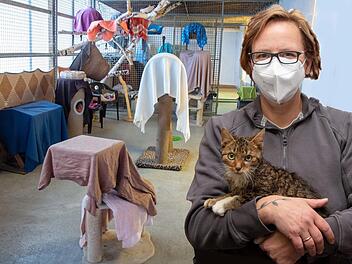 Sandra Schunk, die Leiterin des Lichtenfelser Tierheims, weiß, wie schwierig es ist, in Zeiten der Corona-Pandemie den vollen Betrieb in der Lichtenfelser Auffangstation für herrenlose Tiere aufrechtzuhalten. Nicht nur das Katzenaußenhaus (im Bild) muss dringend renoviert werden. Deshalb ist man auf jede Spende angewiesen. Foto: Klaus Gagel