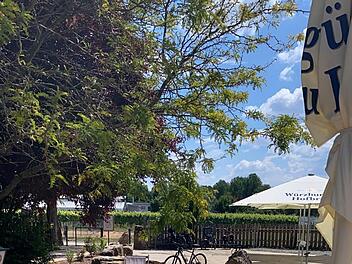Würzburg: Neuer fränkischer Biergarten am Mainradweg wird eröffnet - "Alles ist neu gemacht"