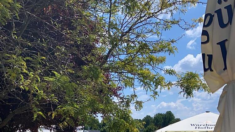 Würzburg: Neuer fränkischer Biergarten am Mainradweg wird eröffnet - "Alles ist neu gemacht"