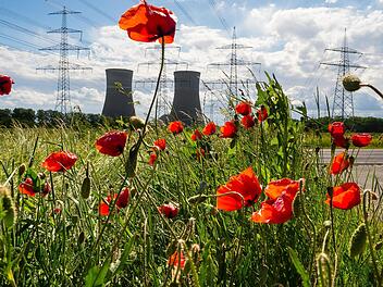 Bereits jetzt stehen auf Bergrheinfelder Gemarkung 170 Strommasten. Das k&ouml;nnten noch mehr werden, wenn die geplante Wechselstromtrasse P43 Richtung Norden gebaut wird. Martina M&uuml;ller