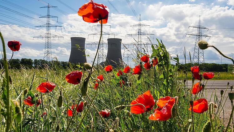 Bereits jetzt stehen auf Bergrheinfelder Gemarkung 170 Strommasten. Das könnten noch mehr werden, wenn die geplante Wechselstromtrasse P43 Richtung Norden gebaut wird. Martina Müller