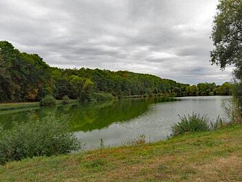 Der Messelausee in der Gemarkung Hainert, der der Stadt Haßfurt gehört, ist ein Kleinod. Um zu verhindern, dass es hier wie schon 2018 zu einem massiven Fischsterben kommt, wollen die Anglerfreunde Nassachtal als Pächter eine strombetriebene Belüftungsanlage einbauen.  Ulrike Langer