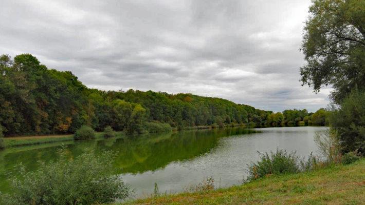 Der Messelausee in der Gemarkung Hainert, der der Stadt Haßfurt gehört, ist ein Kleinod. Um zu verhindern, dass es hier wie schon 2018 zu einem massiven Fischsterben kommt, wollen die Anglerfreunde Nassachtal als Pächter eine strombetriebene Belüftungsanlage einbauen.  Ulrike Langer