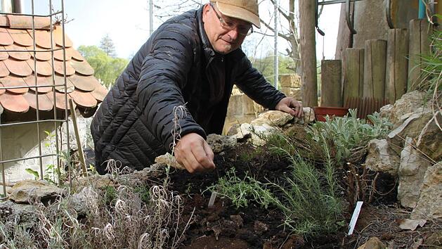 Dieter Walther kultiviert Kr&auml;uter und Gem&uuml;se in Hochbeeten.  Foto: Dagmar Besand