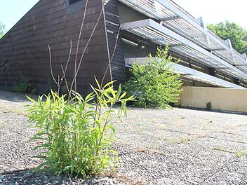 Beim Hallenbad tut sich wieder etwas, auch wenn es optisch immer mehr in den Dornröschenschlaf versinkt.Heike Beudert