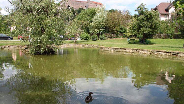 Der Wasserstand im Entenweiher am Schießgraben ist niedrig. Nachbarn in der Trendelstraße befürchten, dass der Zulauf ganz versiegen könnte. Foto: Stephan Tiroch