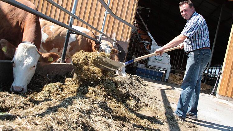 Wer viel frisst, muss auch viel müssen - und das nutzt Milchvieh-Landwirt Hermann Grampp: Seine 95 Kühe in Unterkodach produzieren Gülle als kostenlosen Dünger für Felder und Wiesen. Foto: Jochen Nützel
