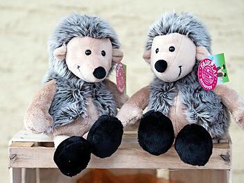 Jungen und Mädchen wählten den Igel als neues Vereinsmaskottchen des OGV Windheim.