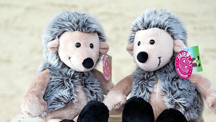 Jungen und Mädchen wählten den Igel als neues Vereinsmaskottchen des OGV Windheim.