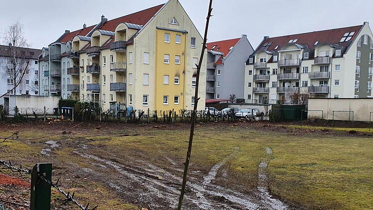 An der westlichen Grenze wurden alle Bäume abgeholzt. Foto: Ronald Heck