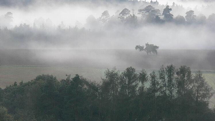 Blick vom Bischberger Vogelberg auf den Michelsberger Wald. Foto: Michael Wehner