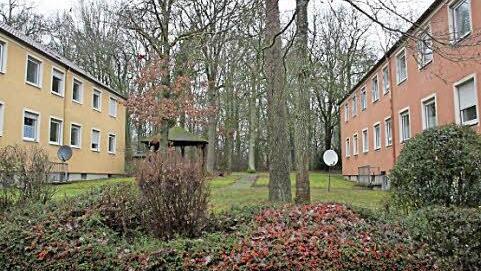 Vier dieser Wohnblöcke wurden Anfang der 90er Jahre gebaut - heute hängen Schilder in den Fenstern: Zu vermieten steht darauf.