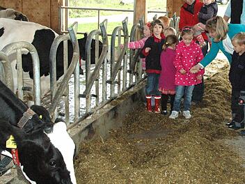 Die Kindergartenkinder zogen es beim Besuch auf dem Bauernhof vor, ein bisschen Abstand zu den Kühen zu halten. Mit auf dem Bild von links Kindergartenleiterin Katja Streng, die stellvertretende Kreisbäuerin Petra Grimmer und Steffen Beyersdorfer vom Verbands für landwirtschaftliche Fachbildung. Foto: Gerhard Schmidt