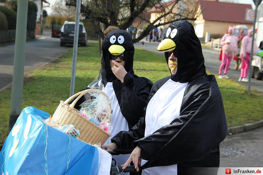 Faschingszug Oberhaid 2016