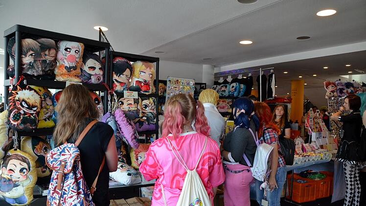 Eindrücke von der 6. Cosplay-Convention "Franco" in Bamberg. Foto: Andrea Spörlein