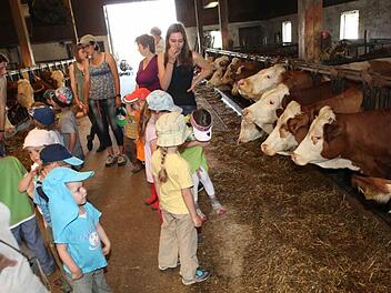 Besonders die Kühe hatten es den Kindern angetan. Fotos: Wolf