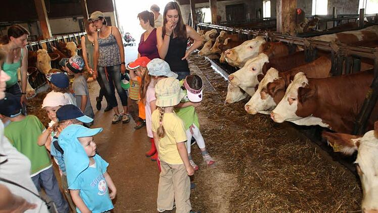 Besonders die Kühe hatten es den Kindern angetan. Fotos: Wolf