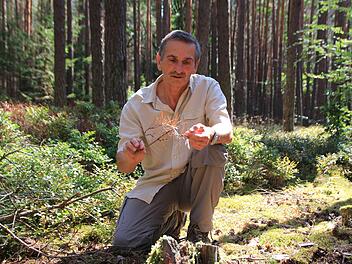 Gerhard Hofmann, Förster im Revier Wachenroth, betrachtet den ausgetrockneten Waldboden mit Sorge. Fotos: Franziska Rieger