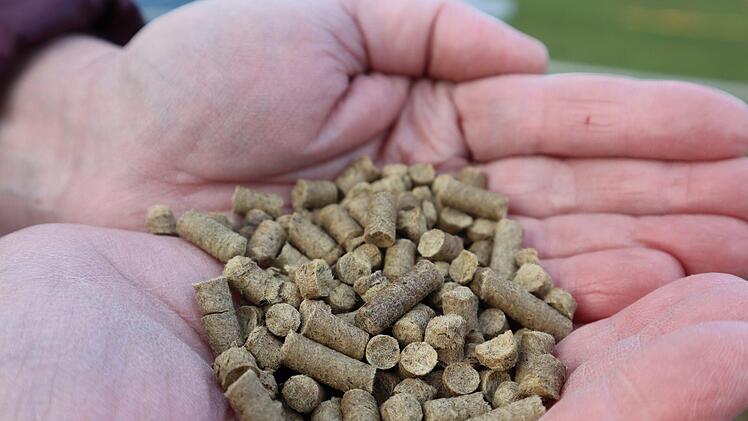 Aus der Schafwolle werden Pellets gepresst, die als ökologischer Langzeitdünger auch für Zimmerpflanzen dienen. Foto: Anna-Lena Bieneck