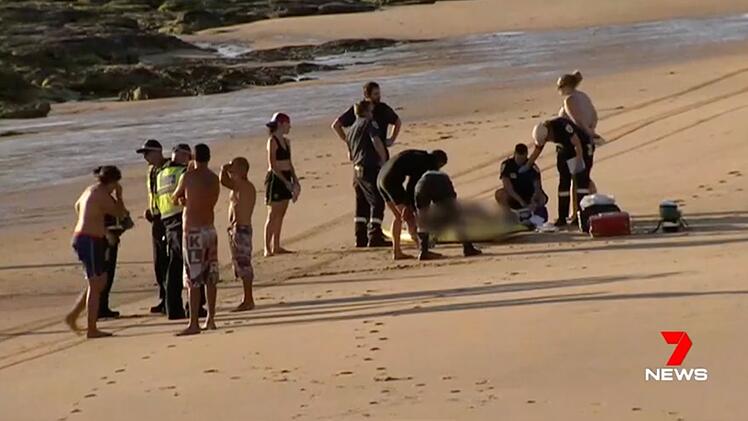 Vier Menschen vor australischer Insel ertrunken