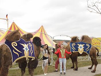 Foto: Jennifer Brechtelsbauer