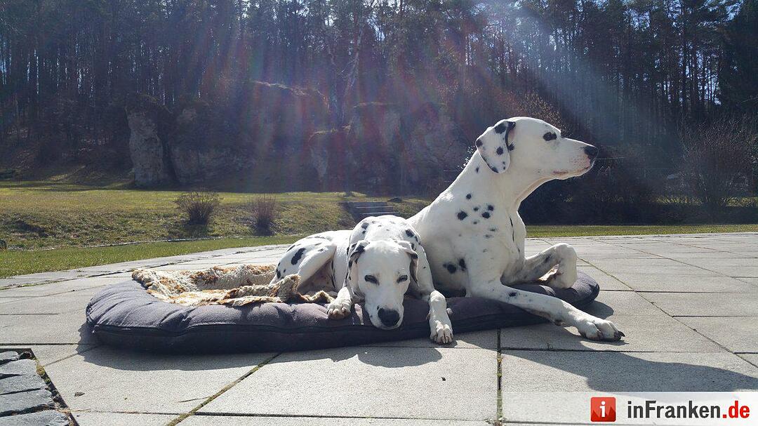Der Frühling in Franken in Bildern