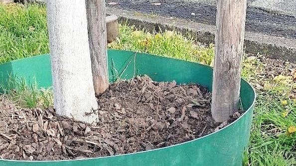 Unscheinbar, aber n&uuml;tzlich ist ein installierter Bodenfeuchtesensor.
