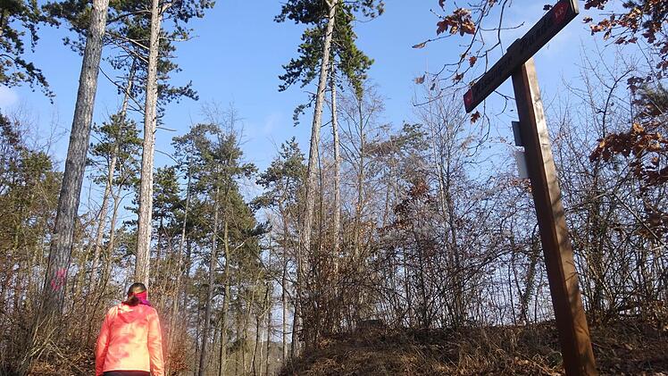 Wichtig: Immer auf die Wegweiser achten.
