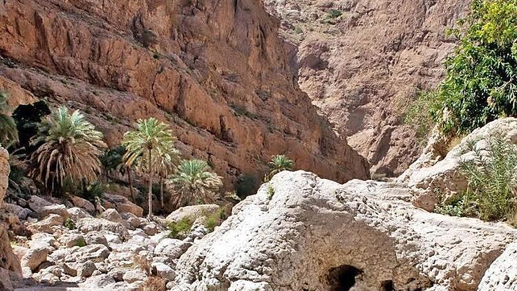 Im Landesinneren prägen Gebirgszüge, Canyons und Oasenstädte das Bild.  Fotos: djd/Sultanate of Oman