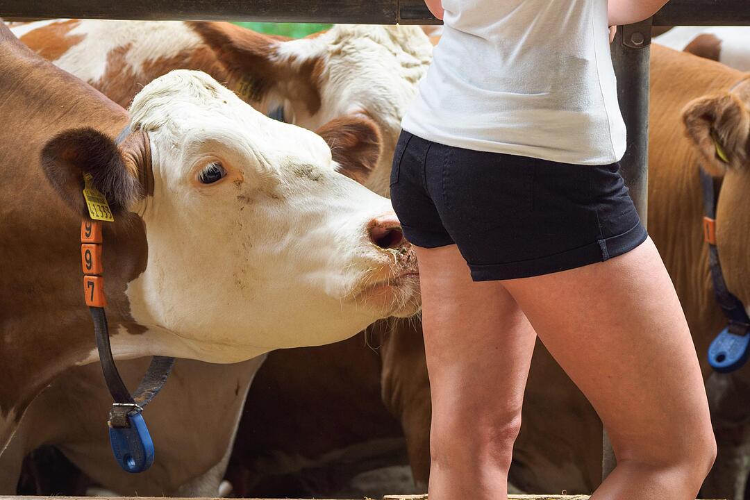 Fotoshooting für den Jungbauernkalender 2018