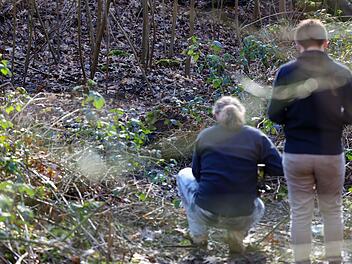 Polizeieinsatz in Waldst&uuml;ck - Fund einer Frauenleiche