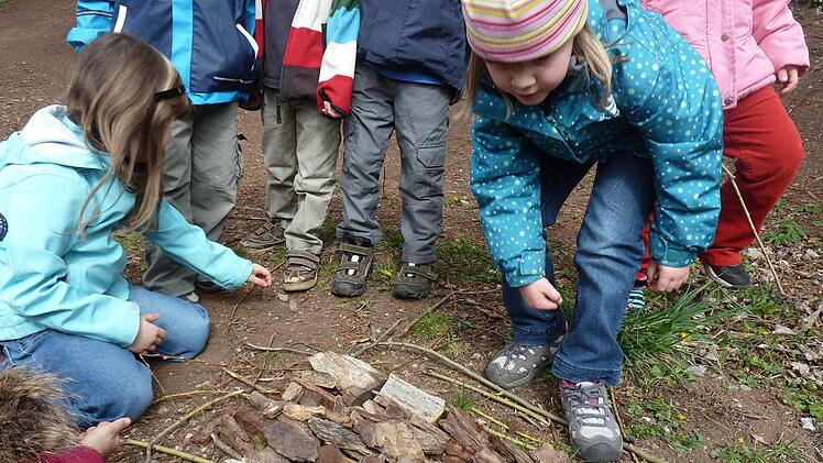 Mit dem Projekt "Unser Freund, der Baum" wurde der Kindergarten Oberelsbach zum zweiten Mal in Folge mit dem ÖkoKids-Siegel ausgezeichnet. Foto: Kindergarten Oberelsbach