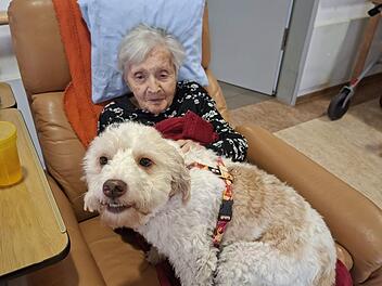 H&uuml;ndin Frieda stattet Senioren und Seniorinnen Besuch ab.