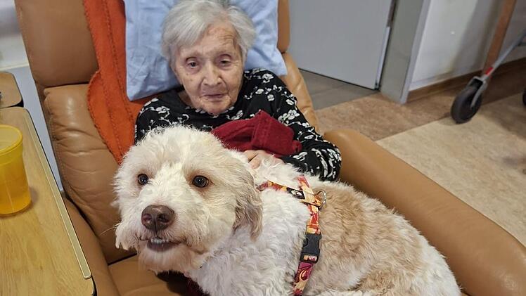 H&uuml;ndin Frieda stattet Senioren und Seniorinnen Besuch ab.