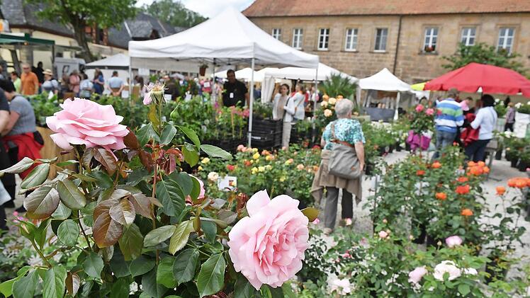Sag's durch die Blume: Das Gartenfest in Eyrichshof versprüht einen besonderen Charme.