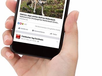 Über 40 000 Nutzer klickten den Wolf-Artikel auf Facebook.