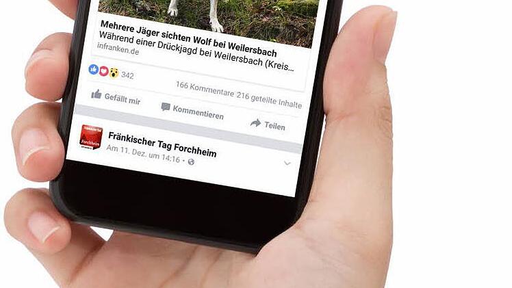 Über 40 000 Nutzer klickten den Wolf-Artikel auf Facebook.