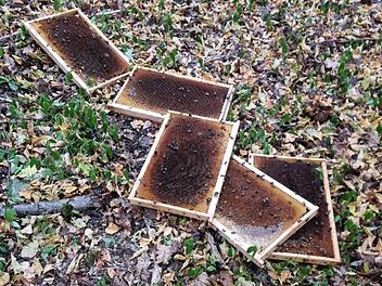 Illegal entsorgte Bienenwaben: Landratsamt Bad Kissingen warnt vor Gefahr