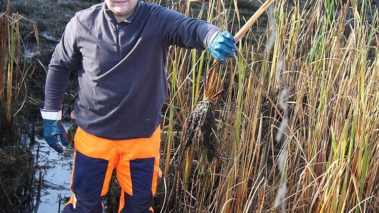 Die Wurzeln lassen sich aus dem feuchten Untergrund leicht ausreißen. Foto: Sonja Adam