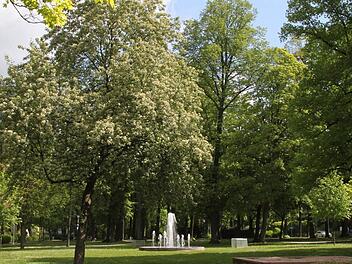 Der Stadtpark  Foto: Jürgen Gärtner