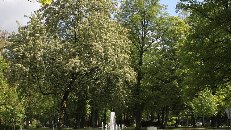 Der Stadtpark  Foto: Jürgen Gärtner