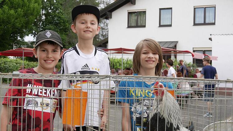 Luis und Felix Hofmann sowie Freund Luka Fleischmann (von links) bestaunen die schönen Hähne. Foto: Manja von Nida