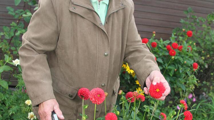Wenn es um Dahlien geht, dann macht der Kulmbacher Schrebergärtnerin Rosa Passing so leicht niemand etwas vor.