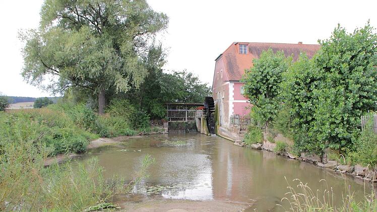 Der Mühlweiher verlandet immer mehr. Für Bertram Peschke ist es die Reiche Ebrach, fürs Verwaltungsgericht nur ein Triebwerkskanal.  Foto: Andreas Dorsch