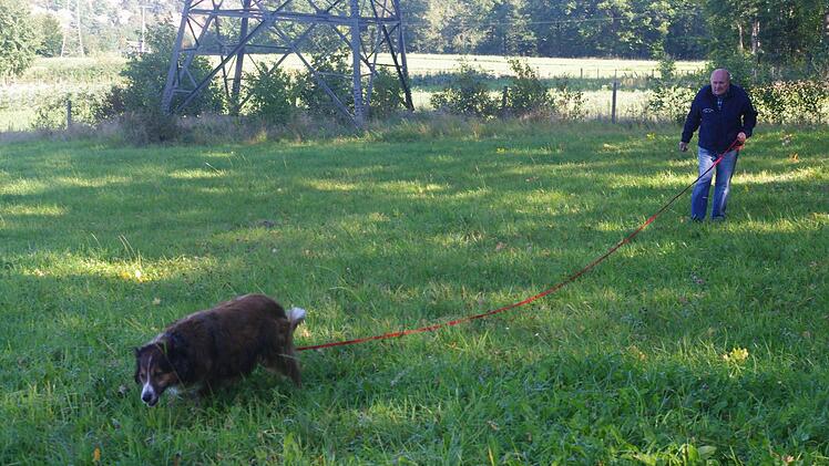 Werner Friedrich mit seinem Hund Corry bei der Fährtensuche. Fotos: Heike Schülein