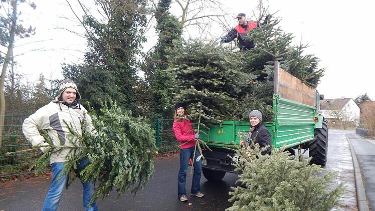 Auch die JU Adelsdorf lud Christbäume auf ihre Traktoren: Steffen Kaiser, Katrina Lutz, Florian Utz und Biggi Müller (von links). Foto: Eigenfeld