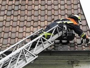 Vorsichtig näherte sich ein Feuerwehrmann, ehe der rettende Griff erfolgen konnte. Das Tier wurde in Sicherheit gebracht. Fotos: Gerold Snater