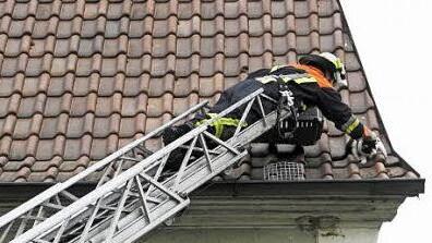 Vorsichtig näherte sich ein Feuerwehrmann, ehe der rettende Griff erfolgen konnte. Das Tier wurde in Sicherheit gebracht. Fotos: Gerold Snater