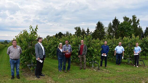 Bei der Er&ouml;ffnung des Kirschenwettbewerbs: Der Kirschk&ouml;nig vom letzen Jahr, Wolfgang Meisel, und  seine Lebensgef&auml;hrtin Uta M&uuml;ller (mit der gro&szlig;en Symbolkirsche in der  Hand);  und von links: Hans Schilling, Landrat Ulm, Dirk Doppelstein (Obstmarkt Mittelehernbach), Manuel Rauch  (Obstgenossenschaft Pretzfeld), stellvertretender Landrat Siebenhaar und Tina  Weishaupt, Gesch&auml;ftsf&uuml;hrerin des Obstgro&szlig;markts IgensdorfPetra Malbrich